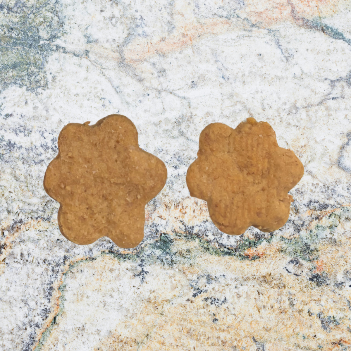 Doggie I've Gone Vegan