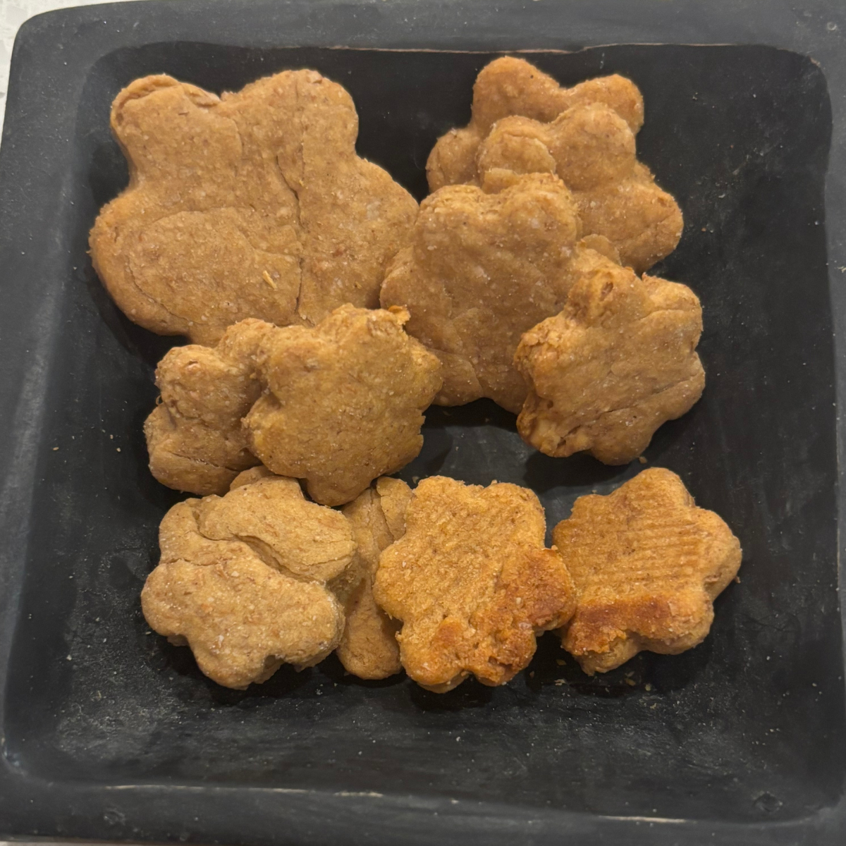 Doggie I've Gone Vegan