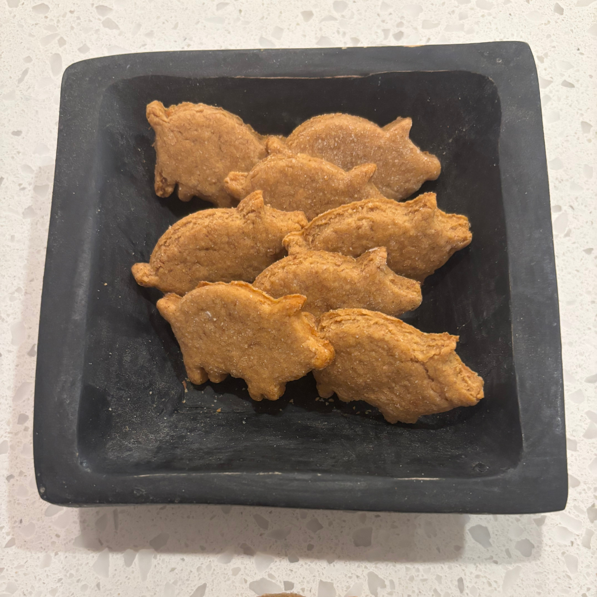 Doggie OMG It's Bacon