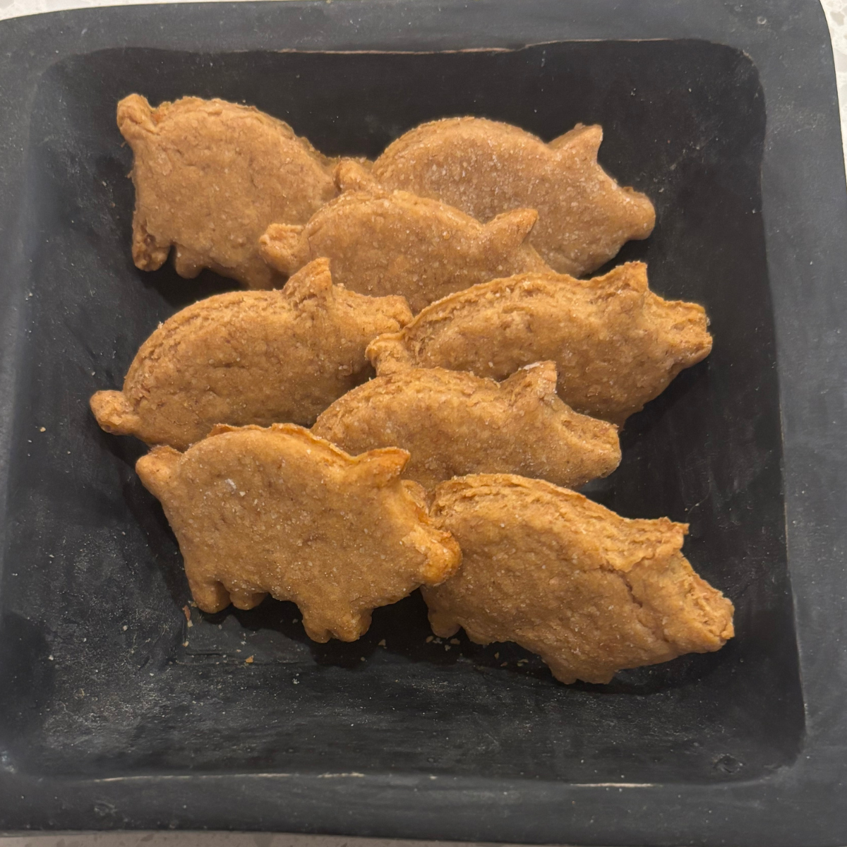 Doggie OMG It's Bacon