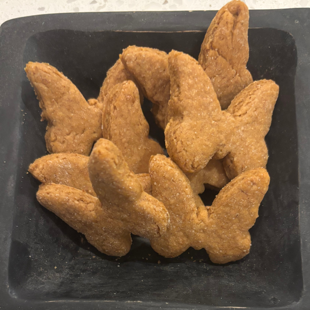 Doggie Sensitive Tummy