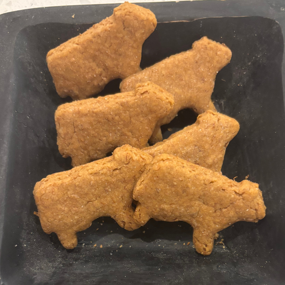 Doggie Where's The Beef  