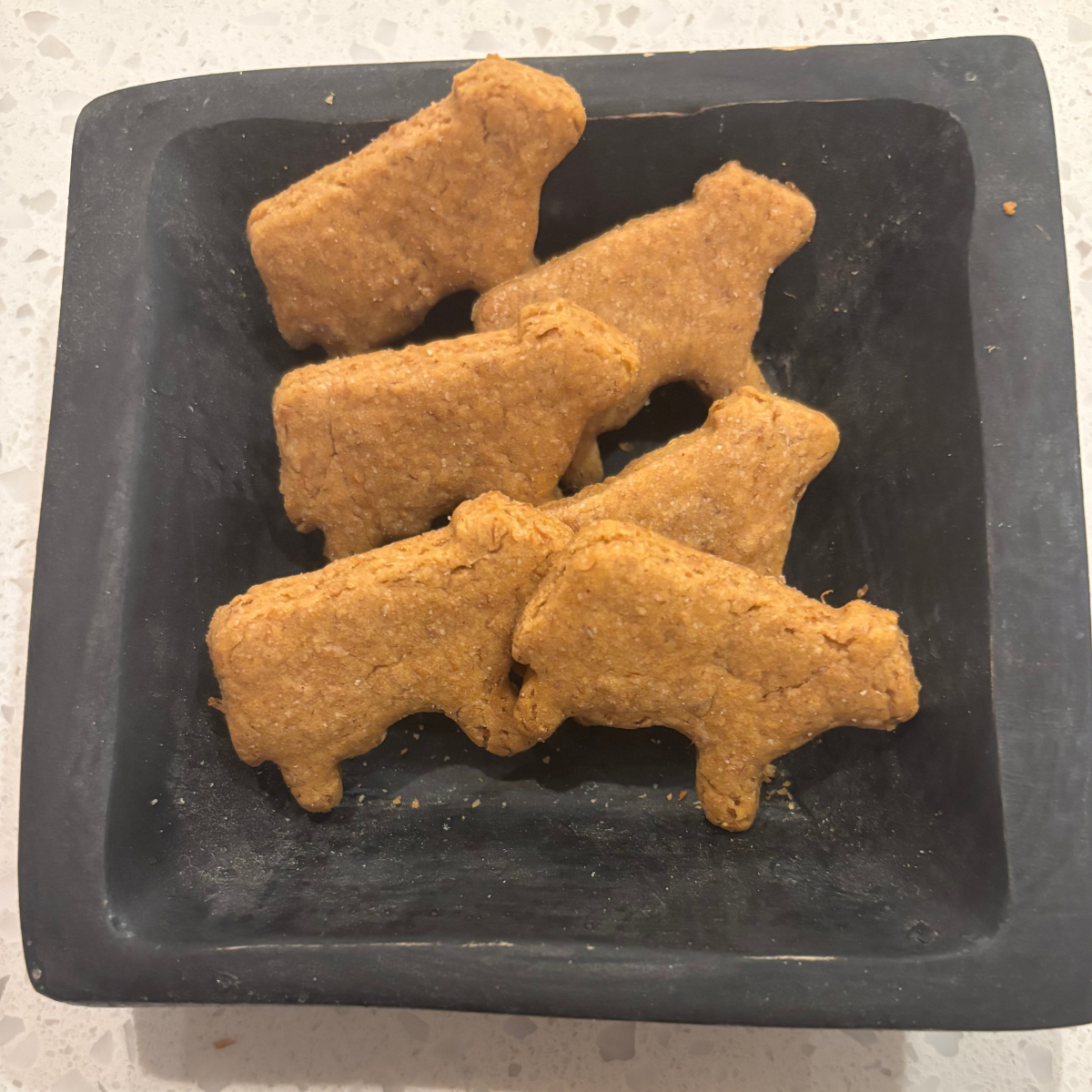 Doggie Where's The Beef  